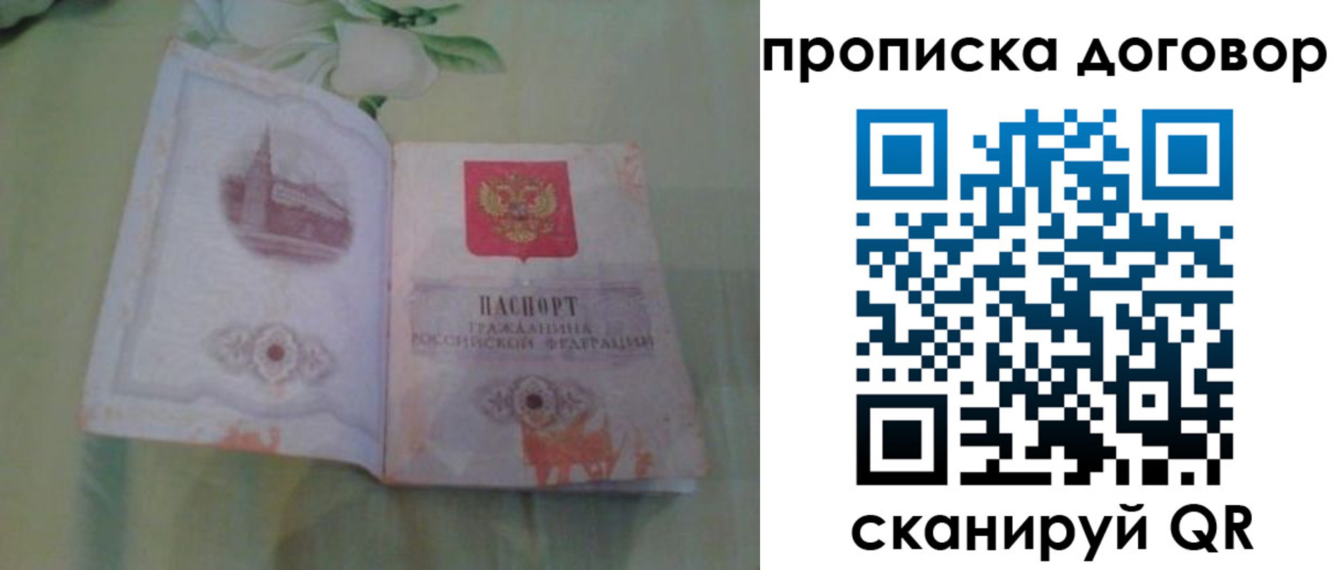 временная регистрация гарантия в Похвистнево